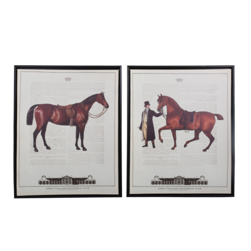 ΚΑΔΡΟ BROWN HORSE 1/2 40x50εκ