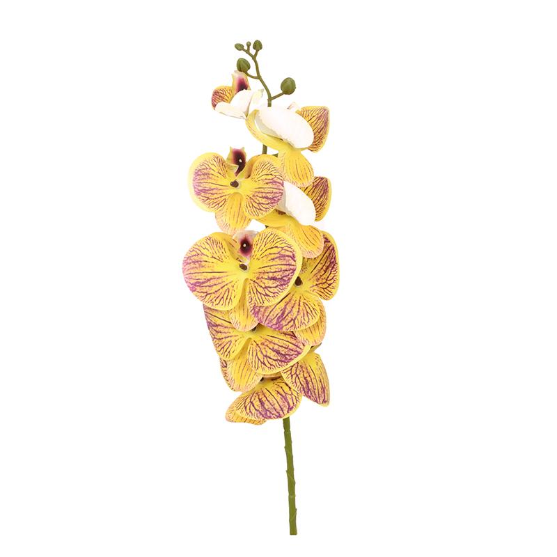 ΛΟΥΛΟΥΔΙ Phalaenopsi ΚΙΤΡΙΝΟ ΧΡΩΜΑ 95εκ