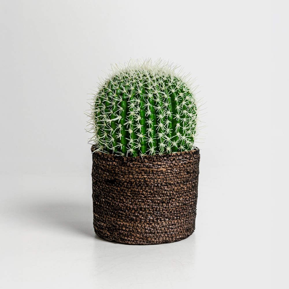 FEROCACTUS ΦΥΤΟ ΤΕΧΝΗΤΟ ΣΕ ΓΛΑΣΤΡΑ 18x18x30cm ΥΦΑΣΜΑ ΠΡΑΣΙΝΟ ΛΕΥΚΟ ΠΛΑΣΤΙΚΟ - Image 2