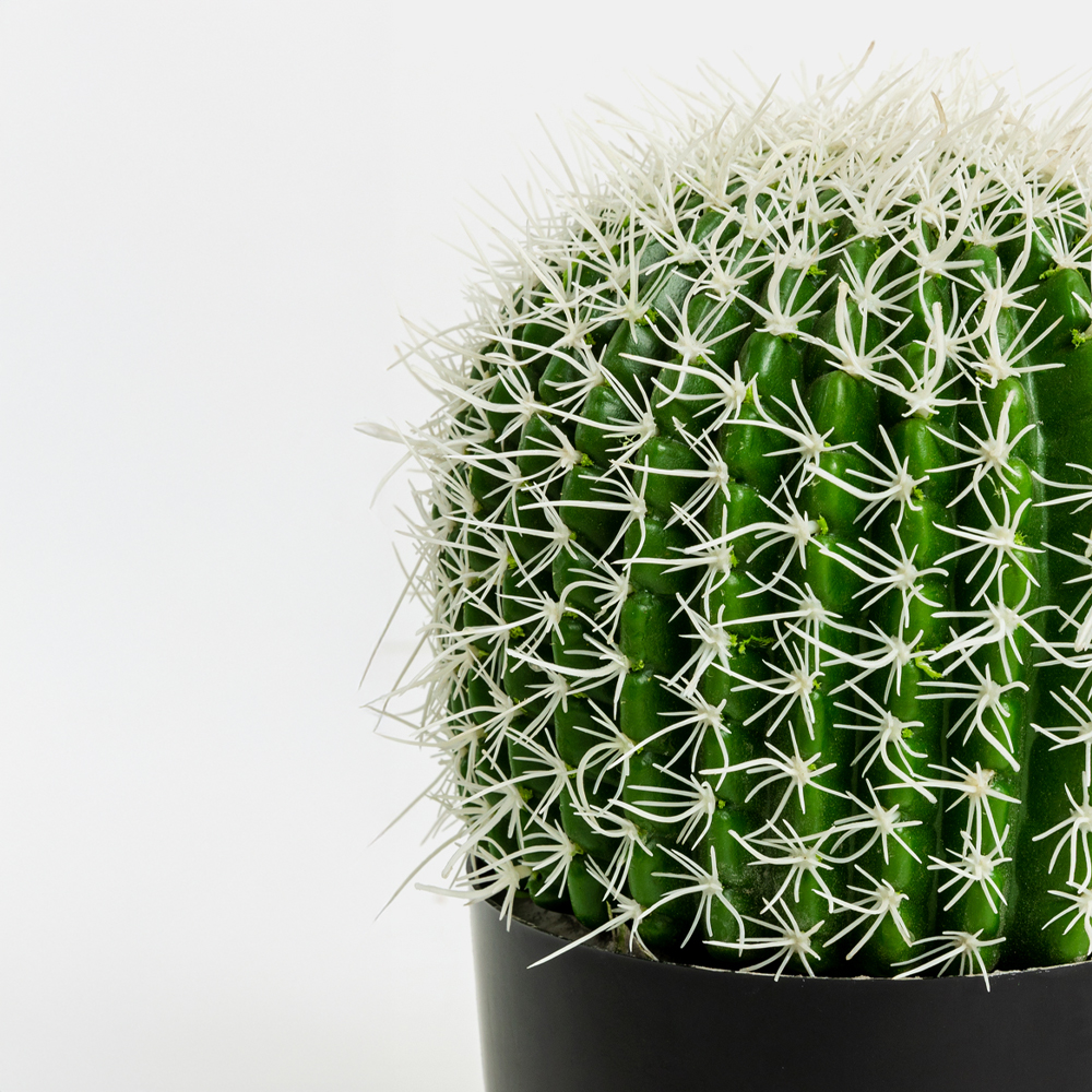 FEROCACTUS ΦΥΤΟ ΤΕΧΝΗΤΟ ΣΕ ΓΛΑΣΤΡΑ 18x18x30cm ΥΦΑΣΜΑ ΠΡΑΣΙΝΟ ΛΕΥΚΟ ΠΛΑΣΤΙΚΟ - Image 3