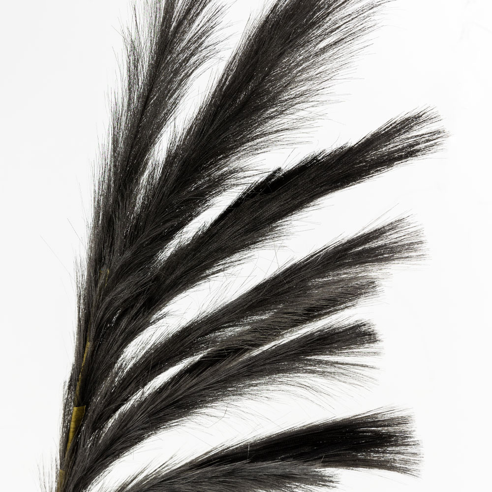 FEDER SINGLE ΚΛΑΔΙ ΤΕΧΝΗΤΟ ΜΕ ΦΤΕΡΑ 110cm POLYESTER ΜΑΥΡΟ - Image 2