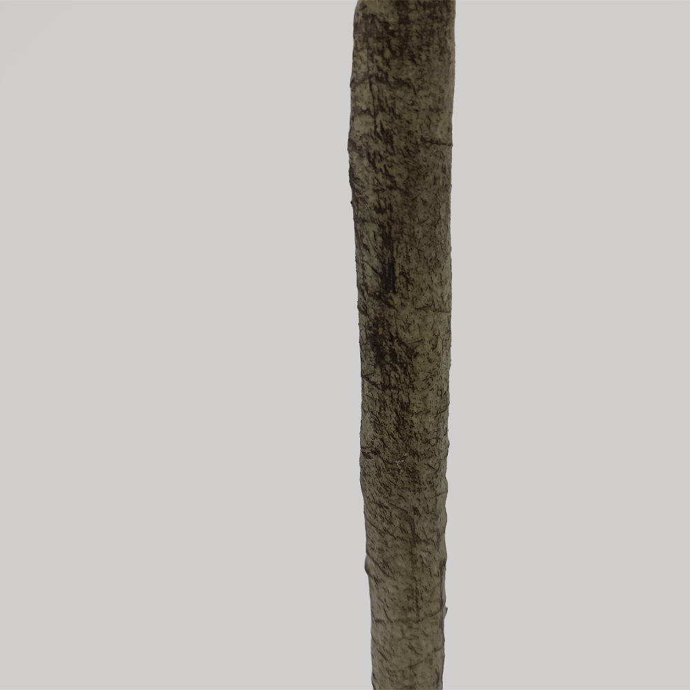 OLIVE TREE ΔΕΝΤΡΟ ΤΕΧΝΗΤΟ ΣΕ ΓΛΑΣΤΡΑ 180cm ΥΦΑΣΜΑ ΠΡΑΣΙΝΟ PVC - Image 3