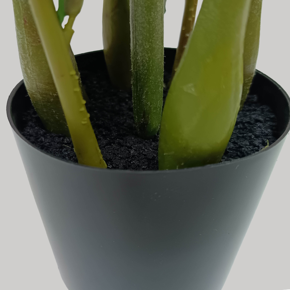 ZAMIA ΦΥΤΟ ΤΕΧΝΗΤΟ ΣΕ ΓΛΑΣΤΡΑ 85cm ΥΦΑΣΜΑ ΠΡΑΣΙΝΟ PVC - Image 4