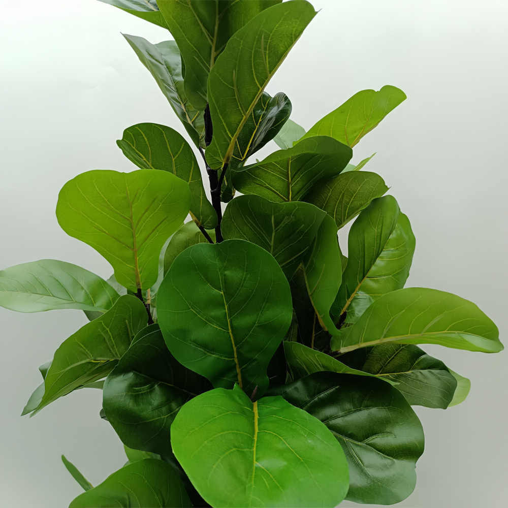 FICUS PANDURATA ΔΕΝΤΡΟ ΤΕΧΝΗΤΟ ΣΕ ΓΛΑΣΤΡΑ 180cm ΥΦΑΣΜΑ ΠΡΑΣΙΝΟ PVC - Image 2