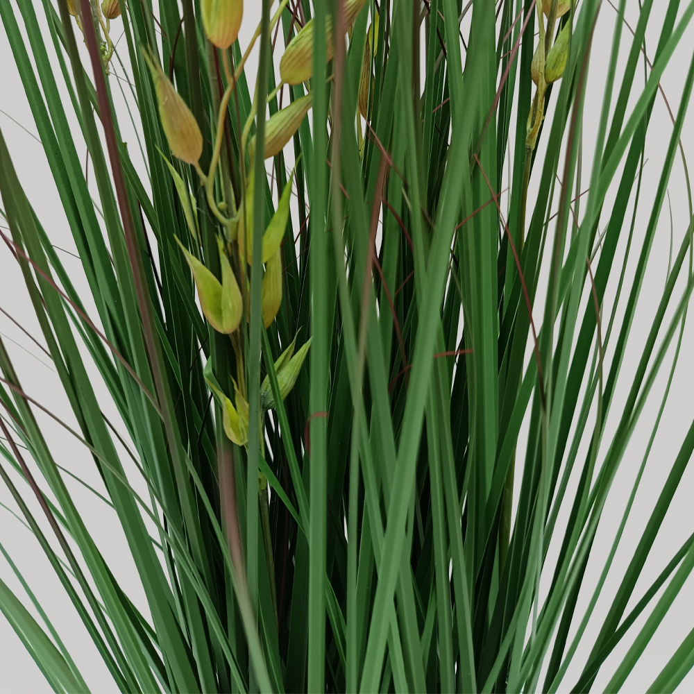 OAT GRASS ΦΥΤΟ ΤΕΧΝΗΤΟ ΣΕ ΓΛΑΣΤΡΑ 90cm PVC ΠΡΑΣΙΝΟ - Image 2