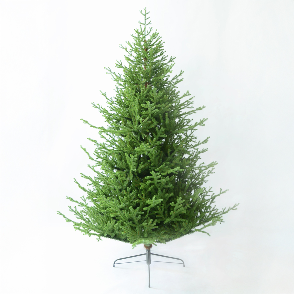 NOEL VERDE ΧΡΙΣΤΟΥΓΕΝΝΙΑΤΙΚΟ ΔΕΝΤΡΟ 150x150x210cm PE/PVC ΠΡΑΣΙΝΟ