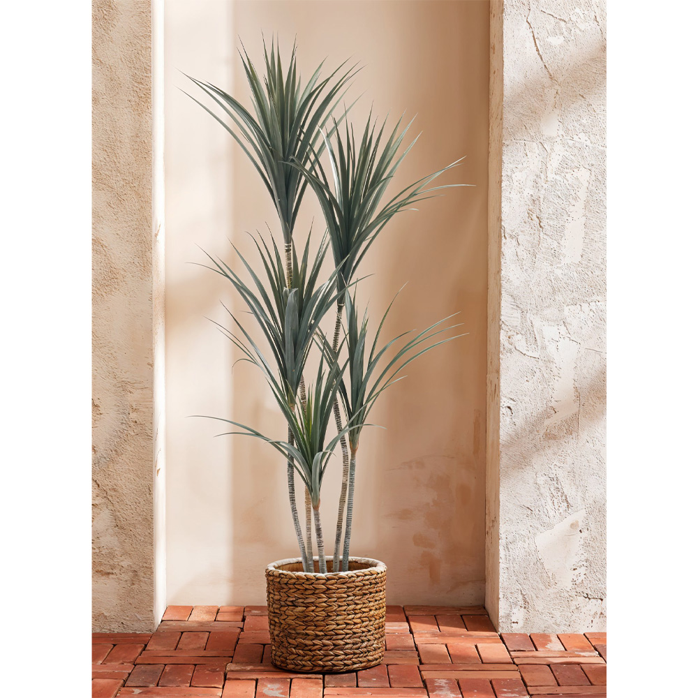 YUCCA ΔΕΝΤΡΟ ΤΕΧΝΗΤΟ ΣΕ ΓΛΑΣΤΡΑ 150cm PE ΠΡΑΣΙΝΟ - Image 2