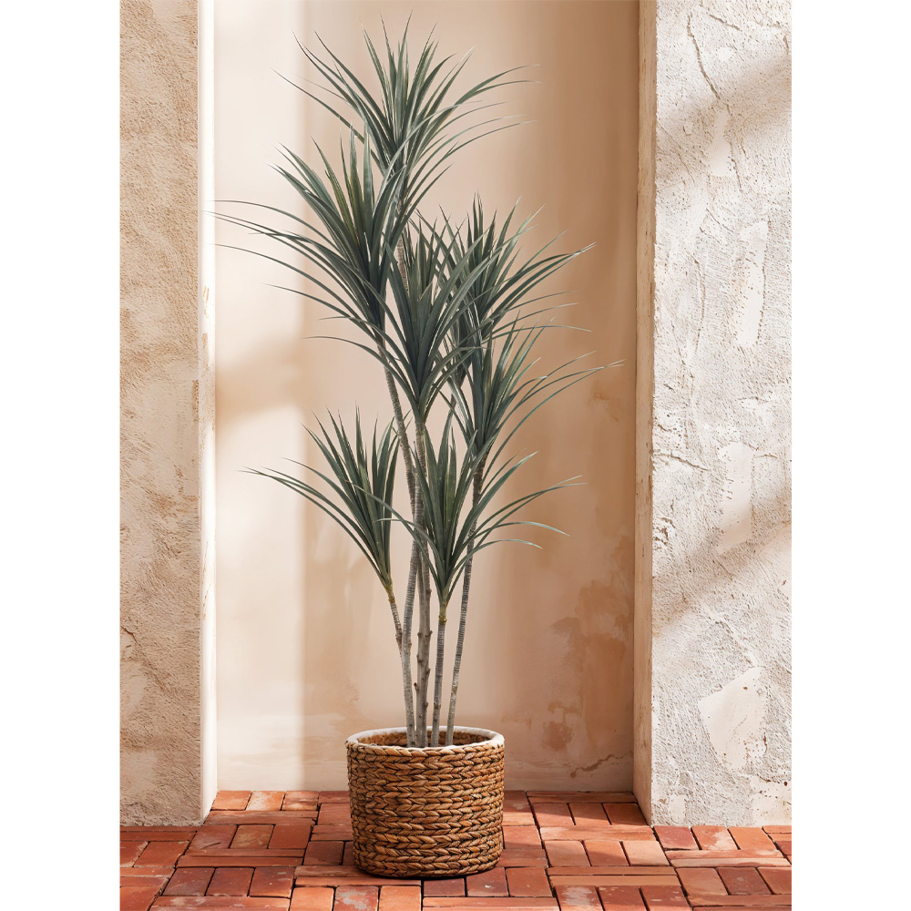 YUCCA ΔΕΝΤΡΟ ΤΕΧΝΗΤΟ ΣΕ ΓΛΑΣΤΡΑ 190cm PE ΠΡΑΣΙΝΟ - Image 2