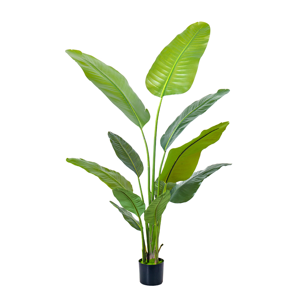 TRAVELLERS PALM ΔΕΝΤΡΟ ΤΕΧΝΗΤΟ ΣΕ ΓΛΑΣΤΡΑ 180cm PE ΠΡΑΣΙΝΟ