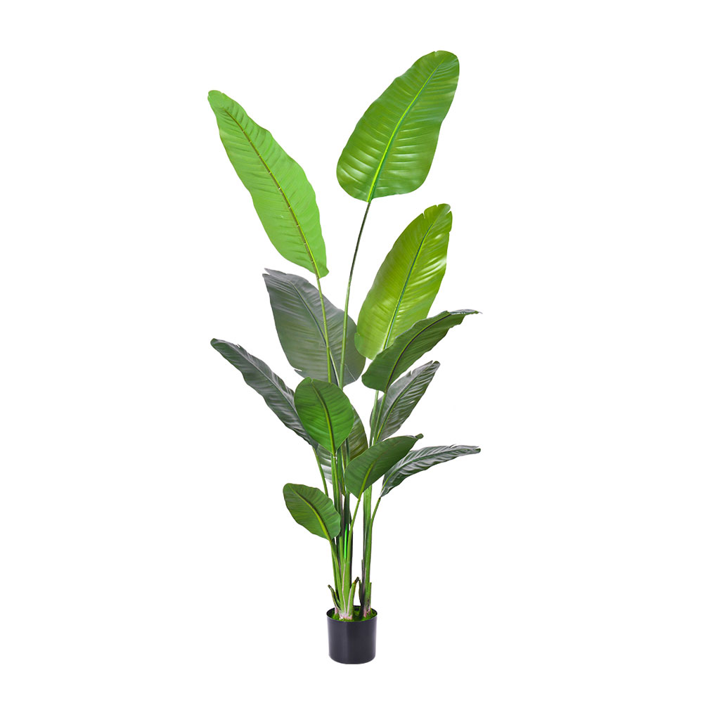 TRAVELLERS PALM ΔΕΝΤΡΟ ΤΕΧΝΗΤΟ ΣΕ ΓΛΑΣΤΡΑ 220cm PE ΠΡΑΣΙΝΟ