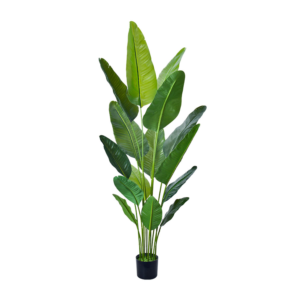 TRAVELLERS PALM ΔΕΝΤΡΟ ΤΕΧΝΗΤΟ ΣΕ ΓΛΑΣΤΡΑ 200cm PE ΠΡΑΣΙΝΟ