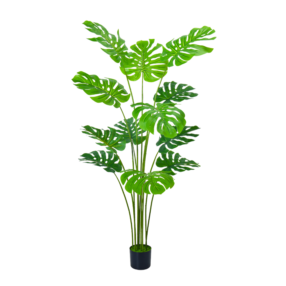 MONSTERA ΔΕΝΤΡΟ ΤΕΧΝΗΤΟ ΣΕ ΓΛΑΣΤΡΑ 160cm PE ΠΡΑΣΙΝΟ