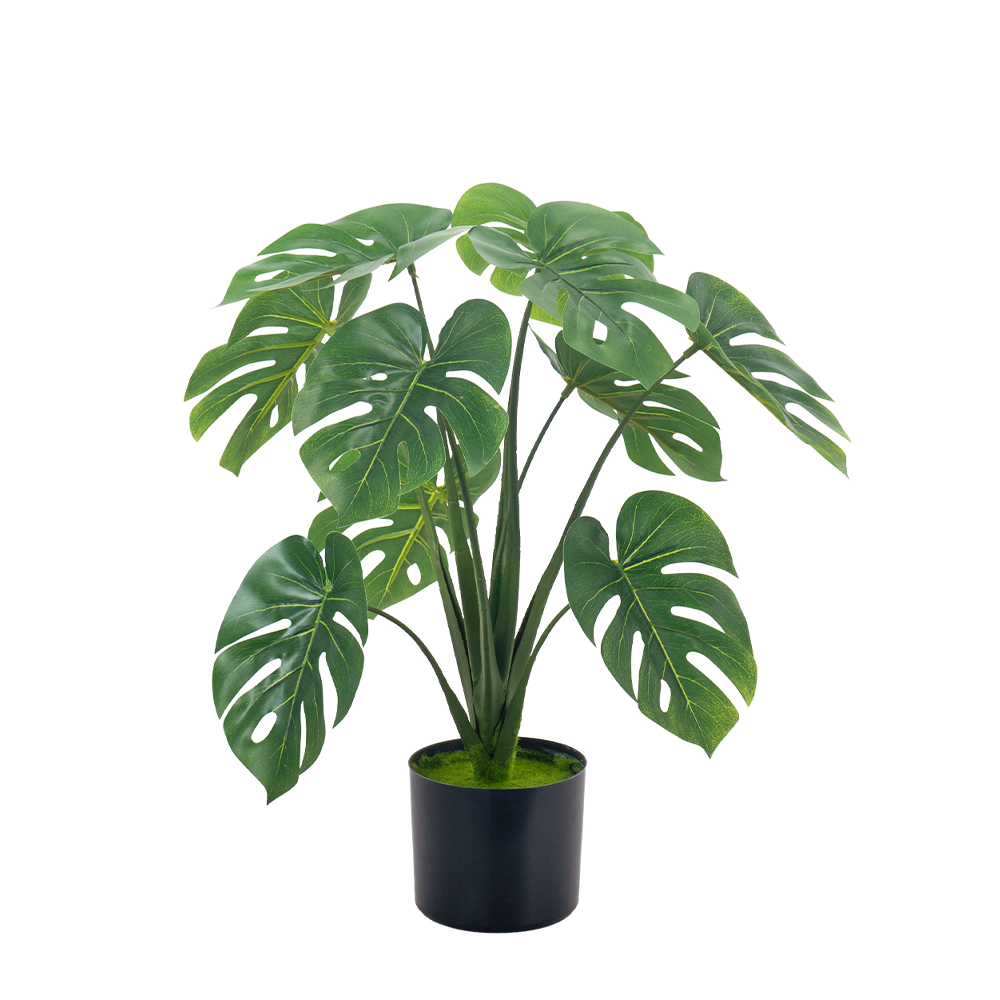 MONSTERA ΔΕΝΤΡΟ ΤΕΧΝΗΤΟ ΣΕ ΓΛΑΣΤΡΑ 60cm PE ΠΡΑΣΙΝΟ