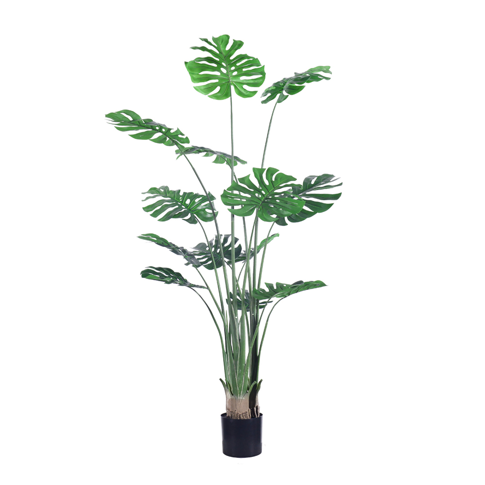 MONSTERA ΔΕΝΤΡΟ ΤΕΧΝΗΤΟ ΣΕ ΓΛΑΣΤΡΑ 180cm PE ΠΡΑΣΙΝΟ