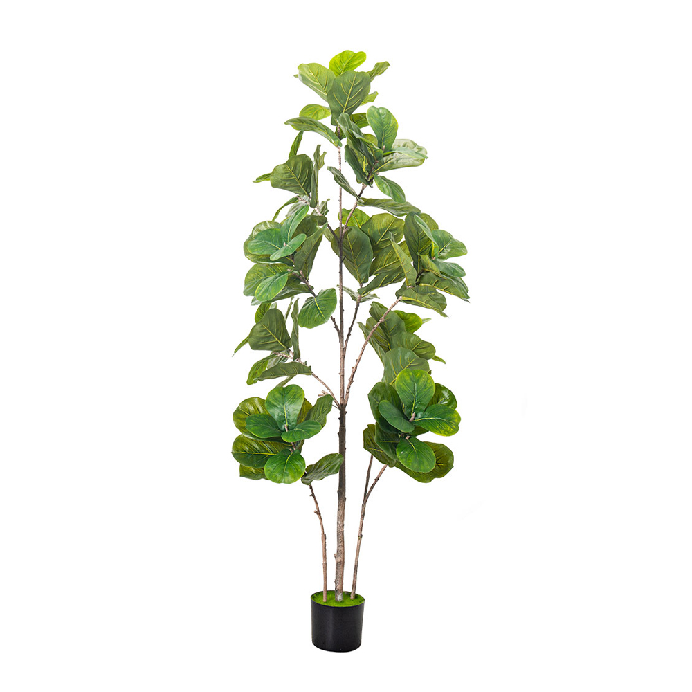 FICUS ΔΕΝΤΡΟ ΤΕΧΝΗΤΟ ΣΕ ΓΛΑΣΤΡΑ 210cm PE ΠΡΑΣΙΝΟ
